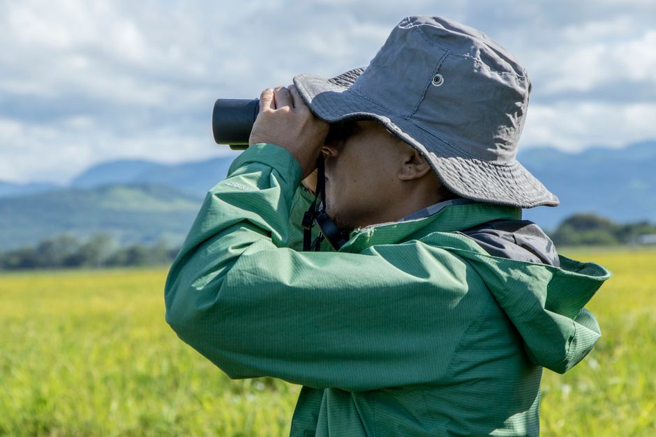 Man in a bucket hat observing nature with binoculars in a lush green field.